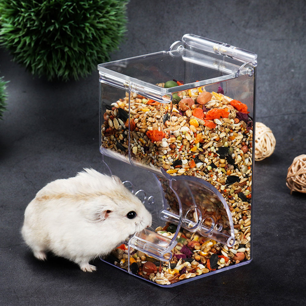 Automatic Pet Feeder - ﻿ 2-1PCS Simpatico Criceto Samll Animale