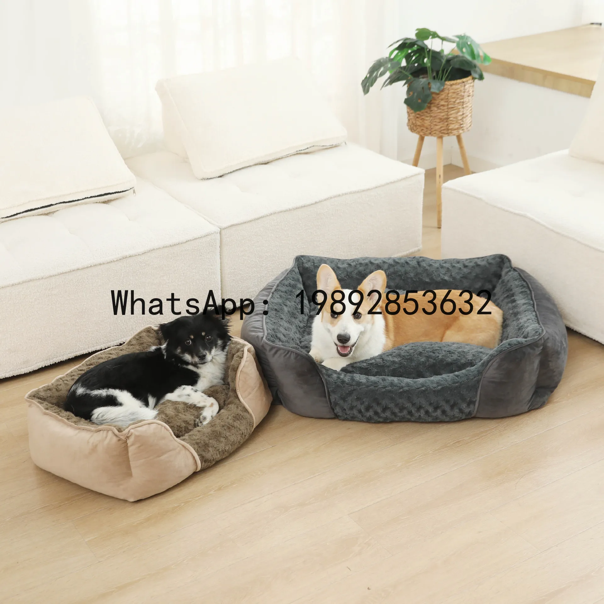 Pet X Supplies & Tack - Cuccia per gatti X, cuccia semi-chiusa