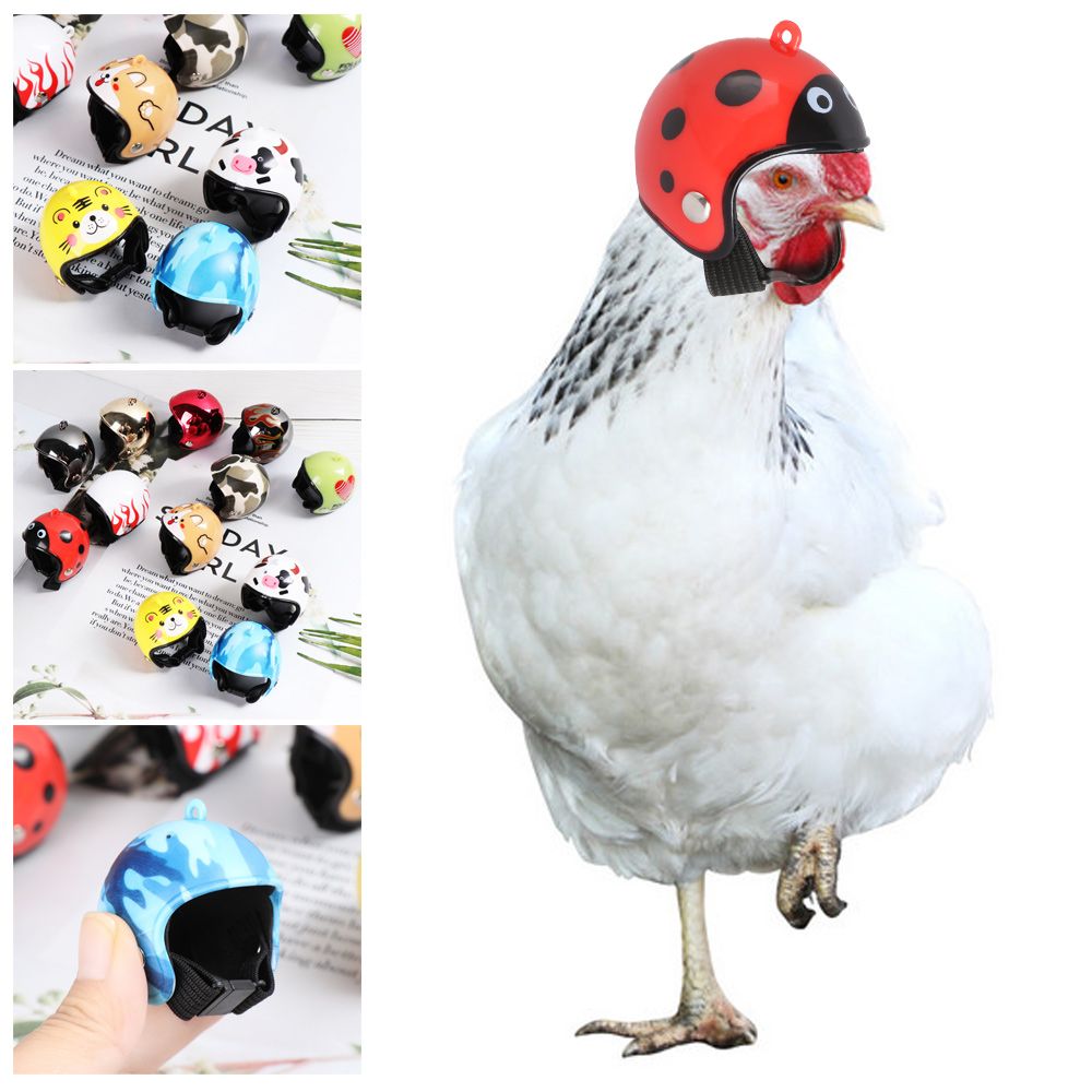 Pet X Supplies & Tack - Cappello Protettivo Divertente in ABS per