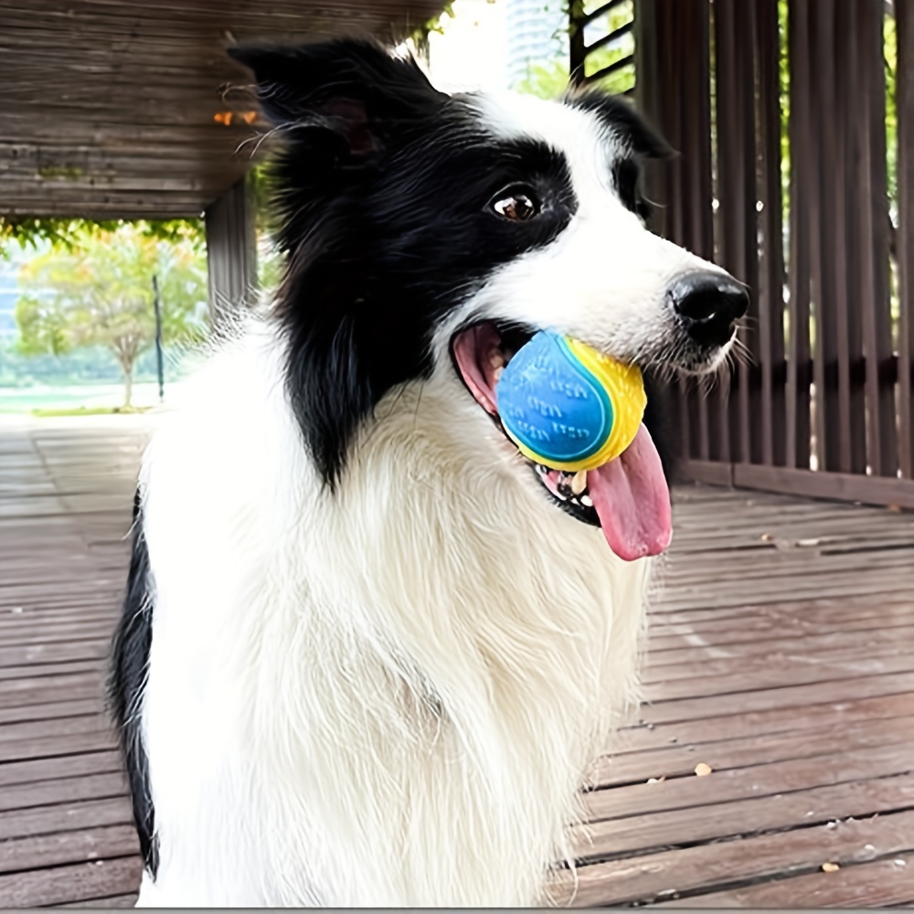 1pc giocattolo per cani durevo - Pet Dental Chew Toy recensione e prezzo