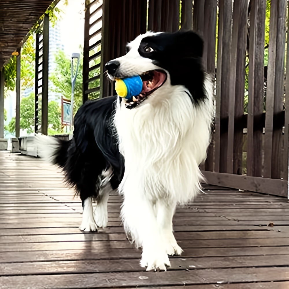 1pc giocattolo per cani durevo - Pet Dental Chew Toy recensione e prezzo