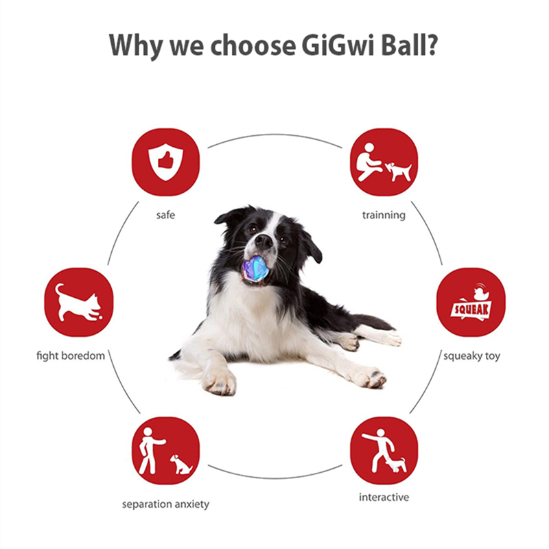 Giocattoli Sonori per Cani e C - Pet Dental Chew Toy recensione e prezzo