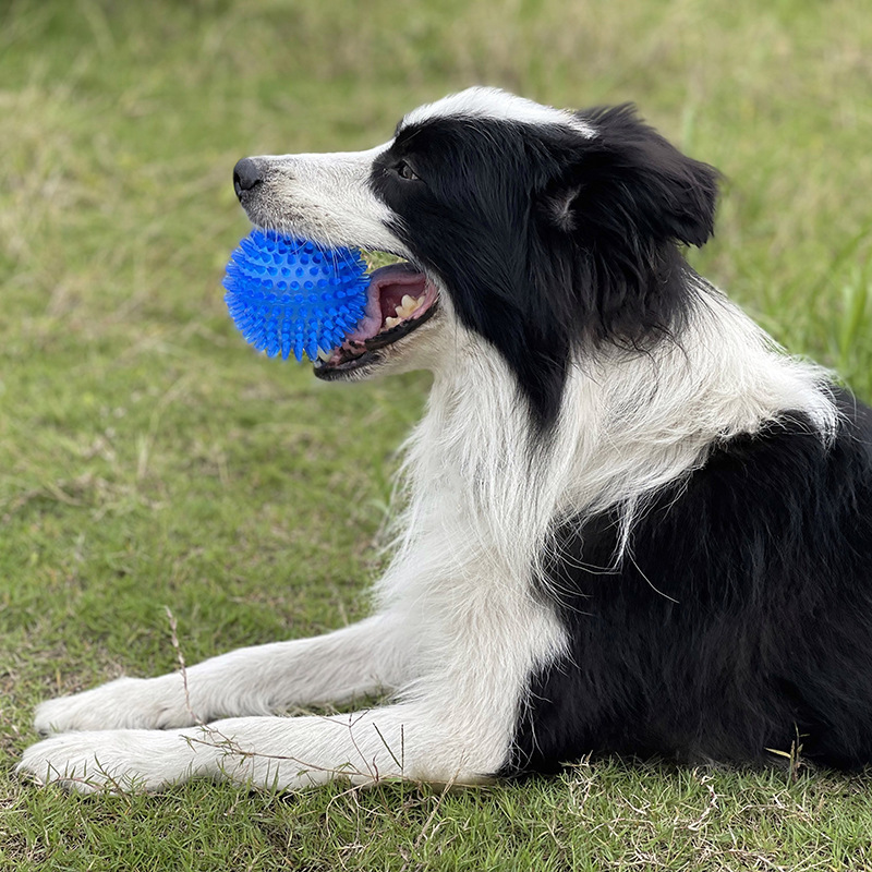 Giocattolo da Masticare per Ca - Pet Dental Chew Toy recensione e prezzo
