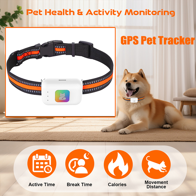 Dispositivo di localizzazione  - Pet Supplies Discount recensione e prezzo