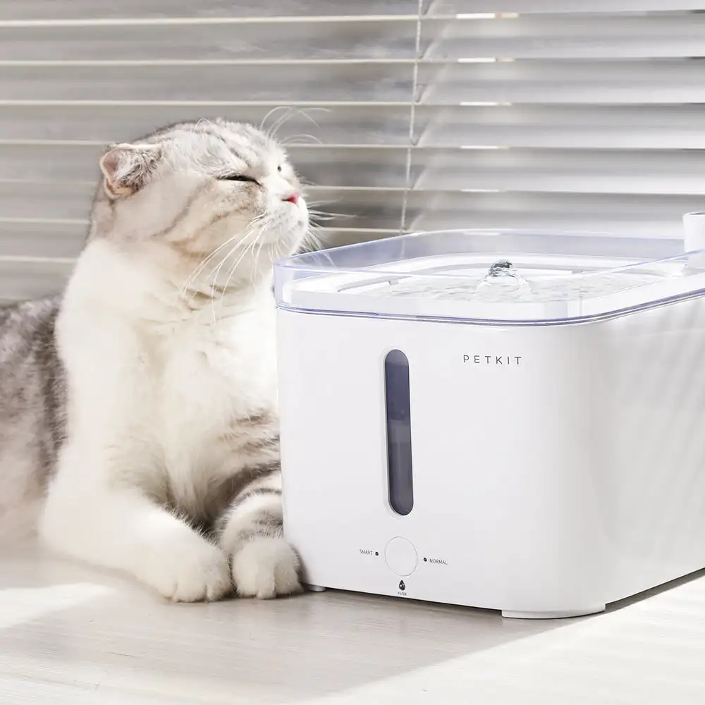 Fontana intelligente per anima - Automatic Pet Feeder recensione e prezzo