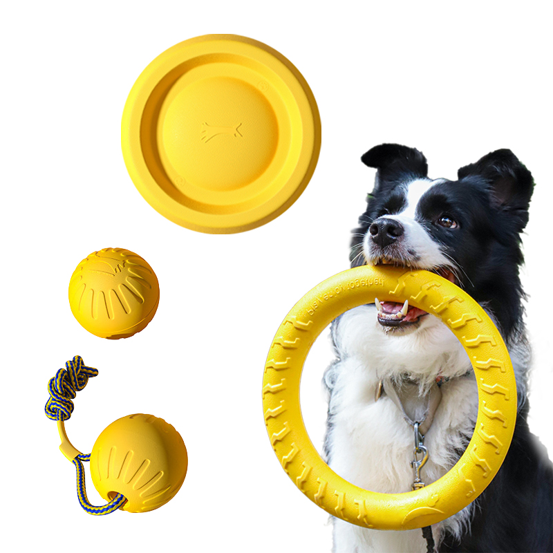 Giocattoli per cani durevoli i - Pet Dental Chew Toy recensione e prezzo
