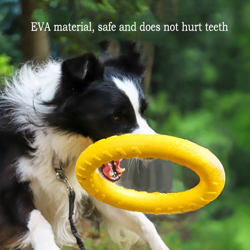 Giocattoli per cani durevoli i - Pet Dental Chew Toy recensione e prezzo