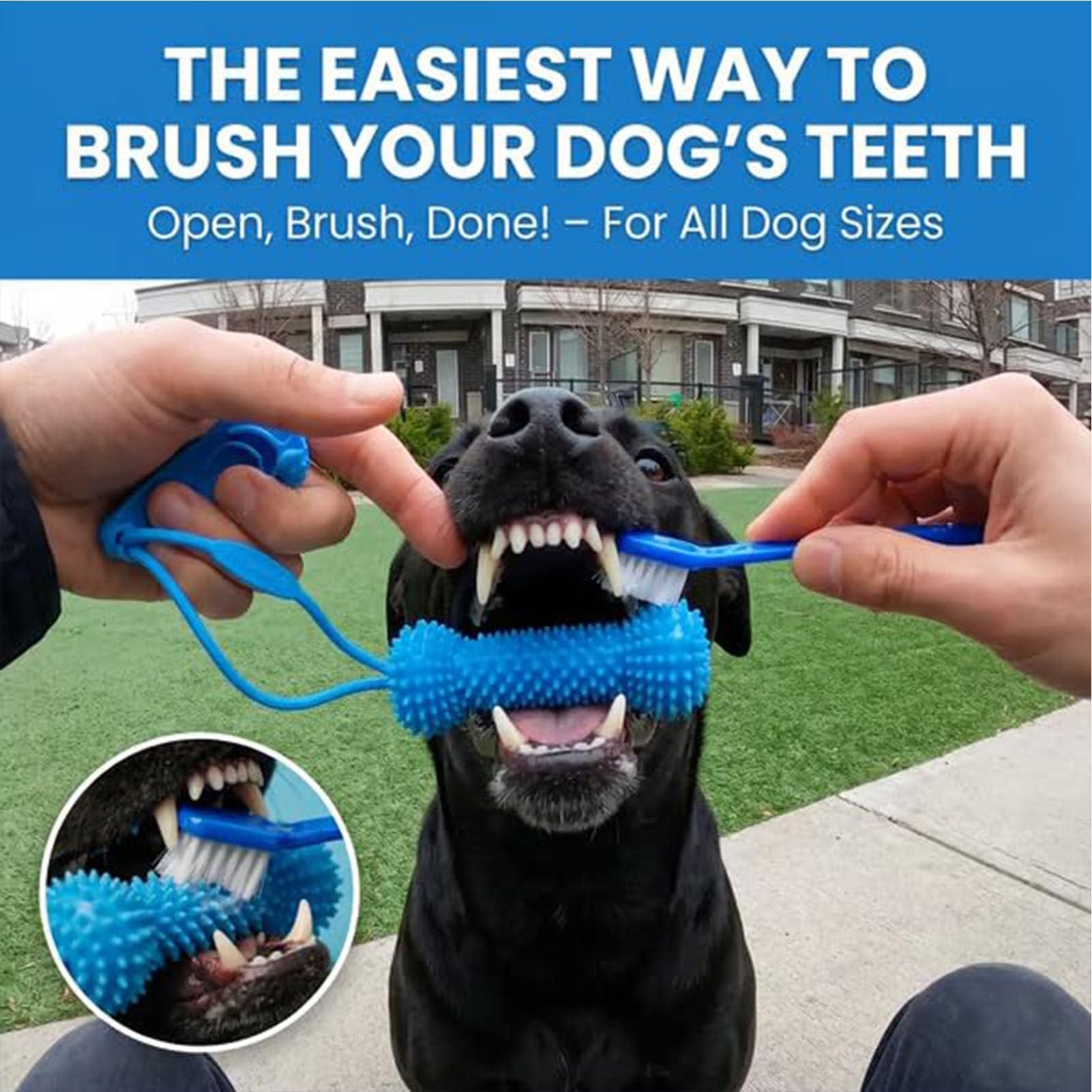 Giocattoli da Masticare per Ca - Pet Dental Chew Toy recensione e prezzo