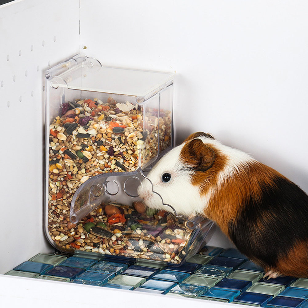    2-1PCS Simpatico Criceto S - Automatic Pet Feeder recensione e prezzo