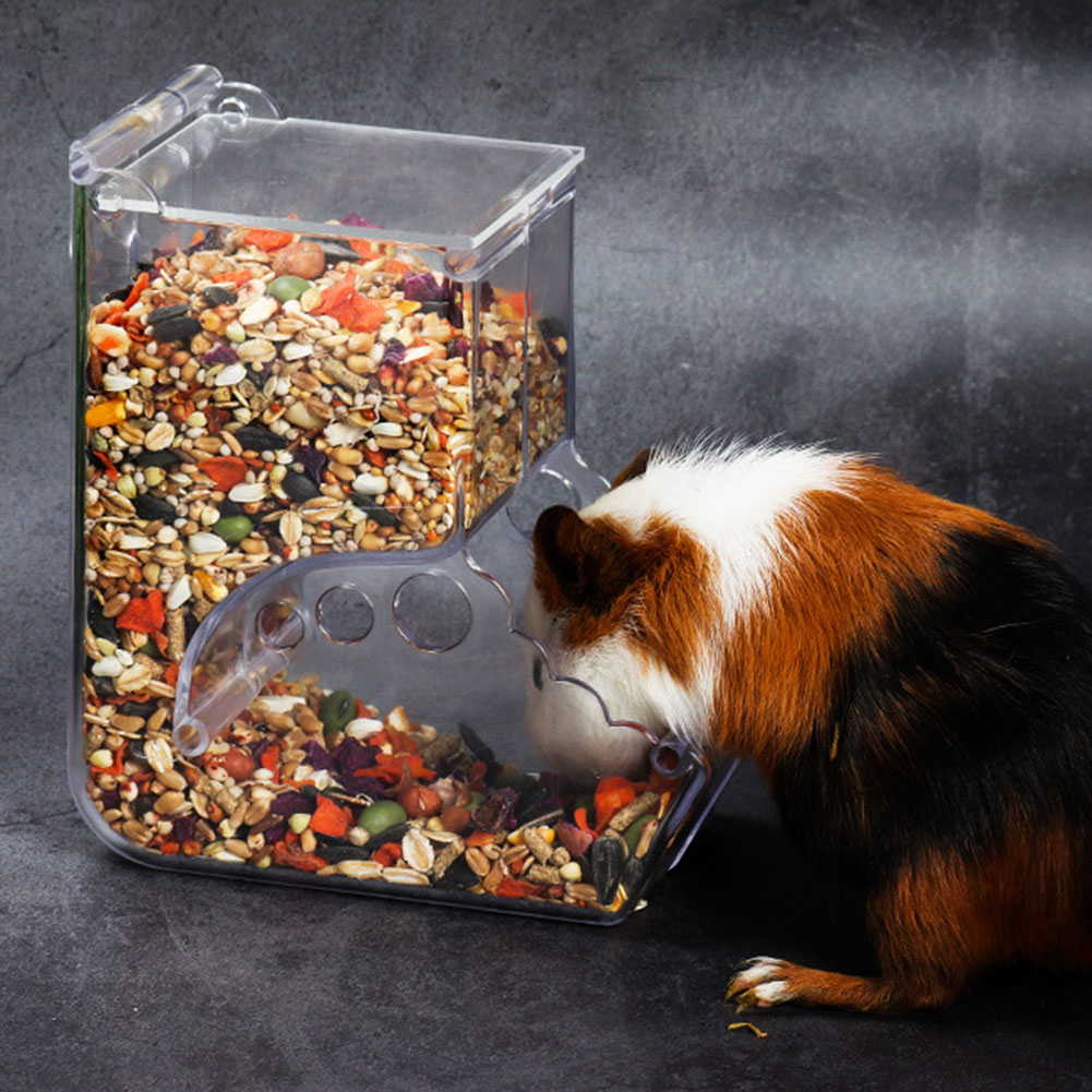    2-1PCS Simpatico Criceto S - Automatic Pet Feeder recensione e prezzo