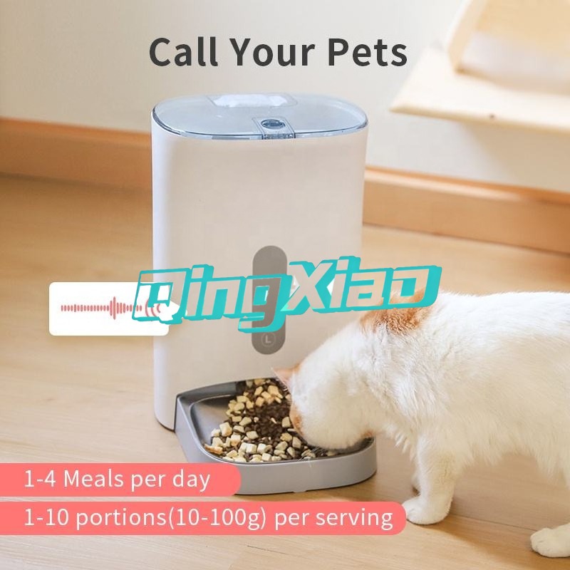 Distributore Automatico di Cib - Automatic Pet Feeder recensione e prezzo