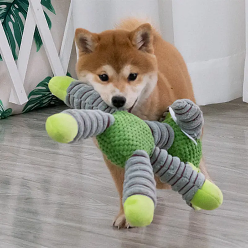 Giocattoli Indistruttibili per - Pet Dental Chew Toy recensione e prezzo
