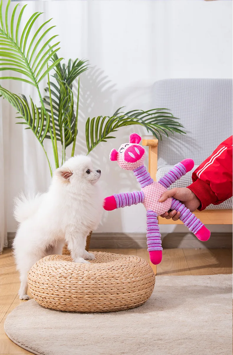 Giocattoli Indistruttibili per - Pet Dental Chew Toy recensione e prezzo