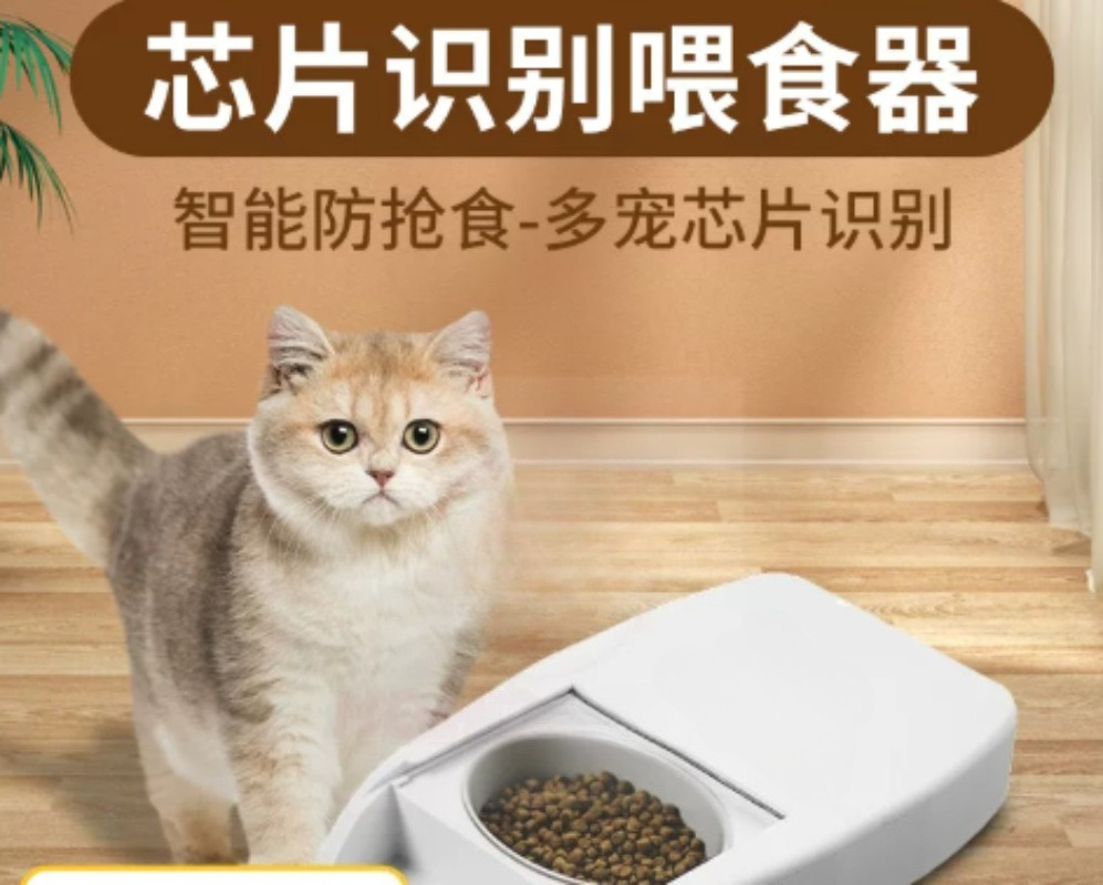 Distributore Automatico Intell - Automatic Pet Feeder recensione e prezzo