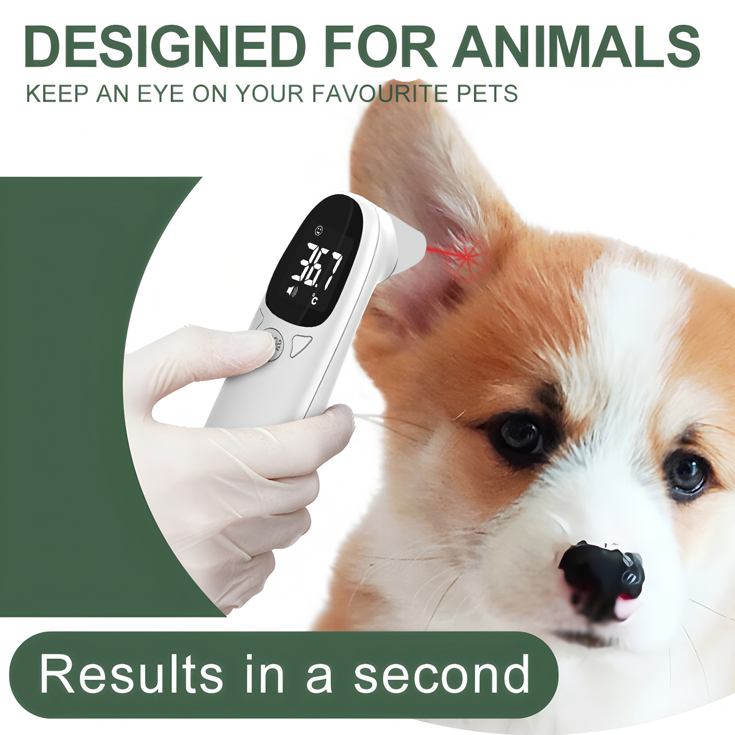 Termometro Digitale per Orecch - Pet Supplies Discount recensione e prezzo