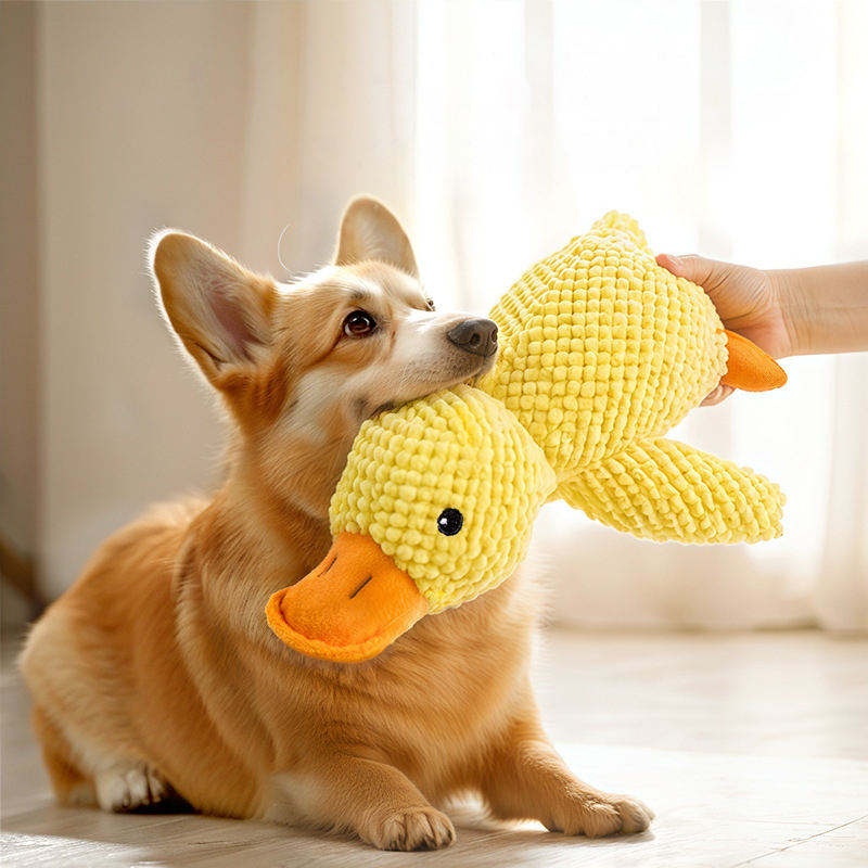 Giocattolo per Cani a Forma di - Pet Dental Chew Toy recensione e prezzo