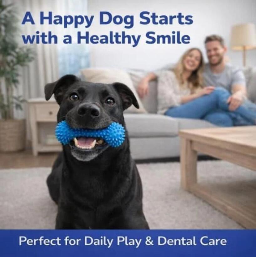 Bastoncino da Masticare per Ca - Pet Dental Chew Toy recensione e prezzo