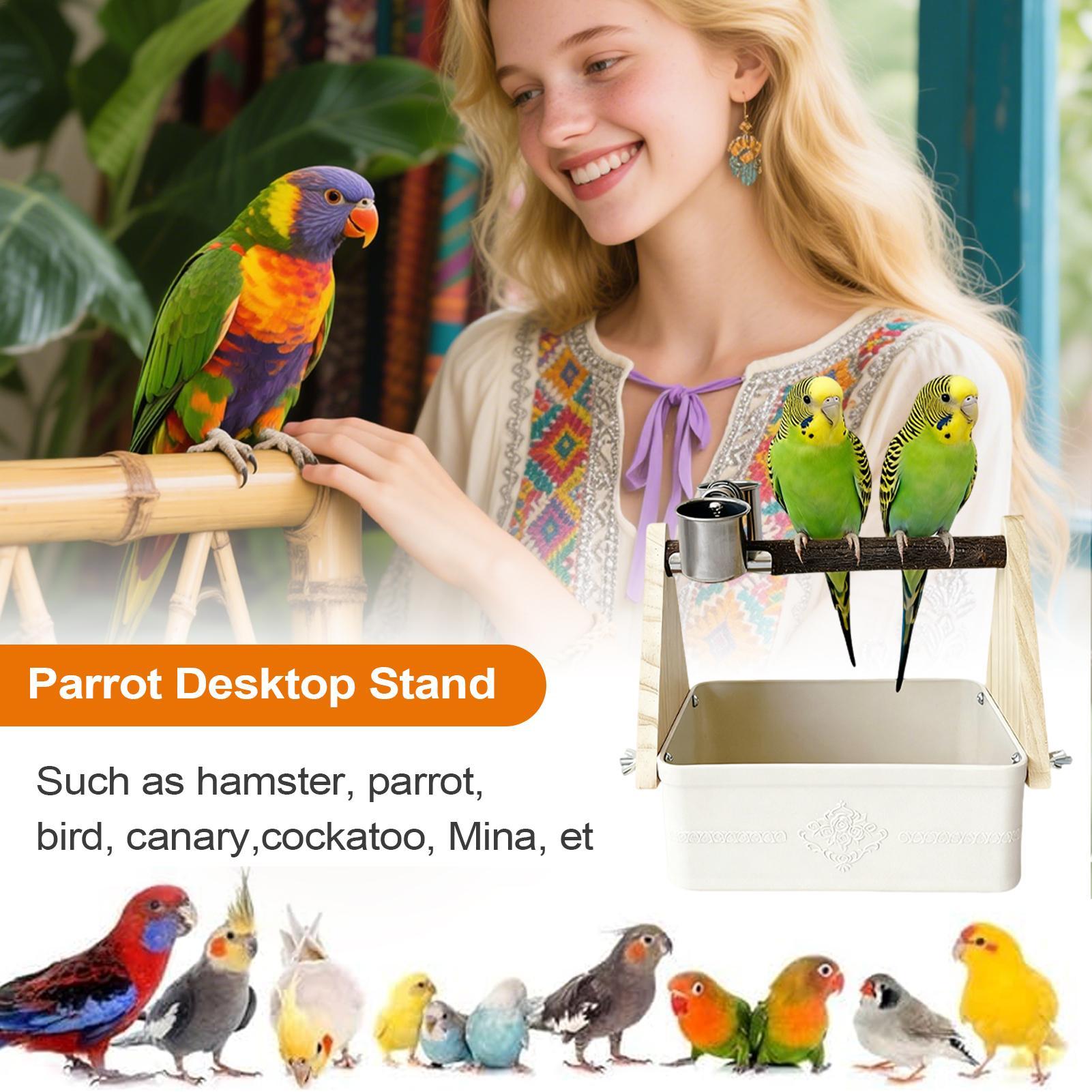 Posatoio da Tavolo per Uccelli - Pet Supplies Zoo recensione e prezzo
