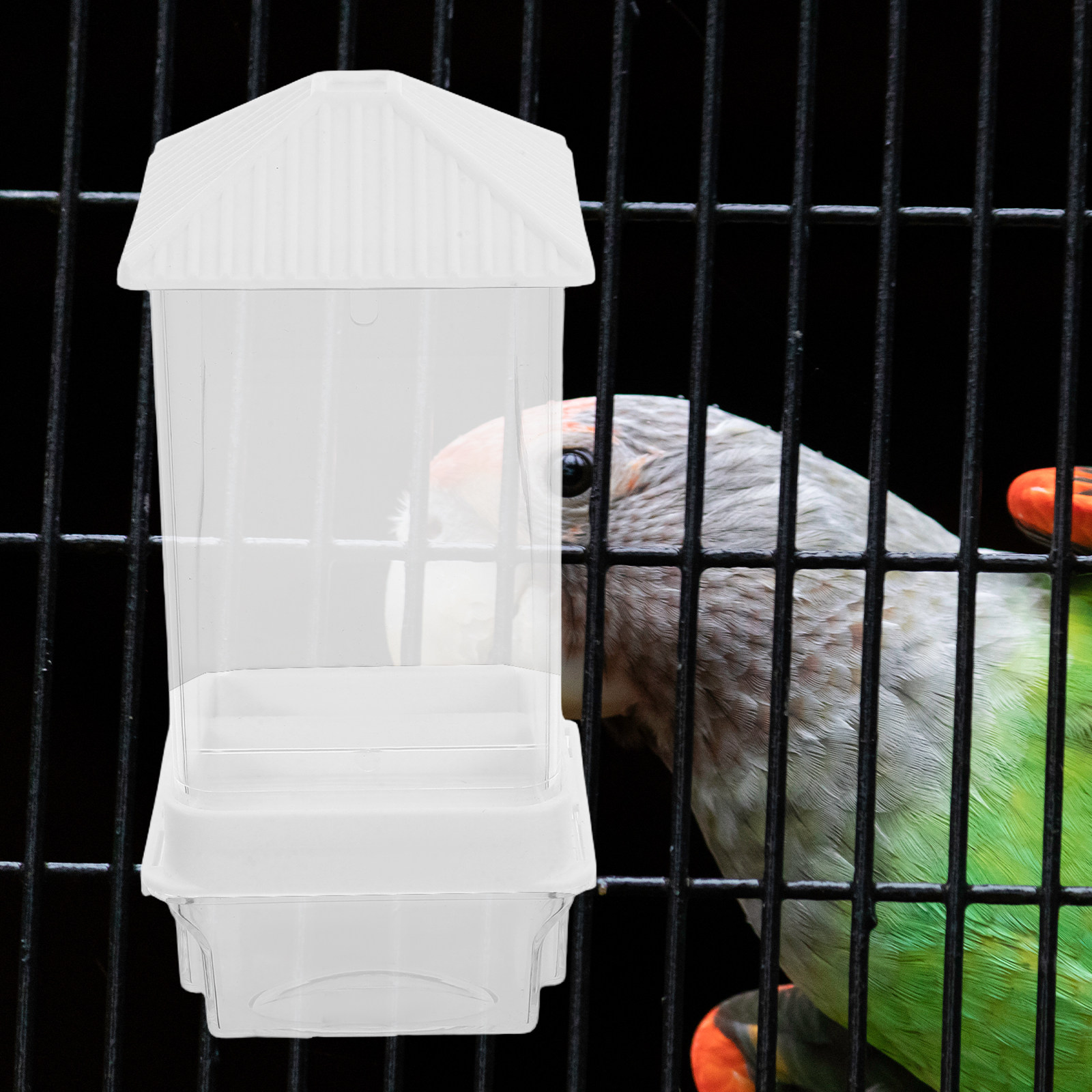 Mangiatoia Automatica per Ucce - Automatic Pet Feeder recensione e prezzo
