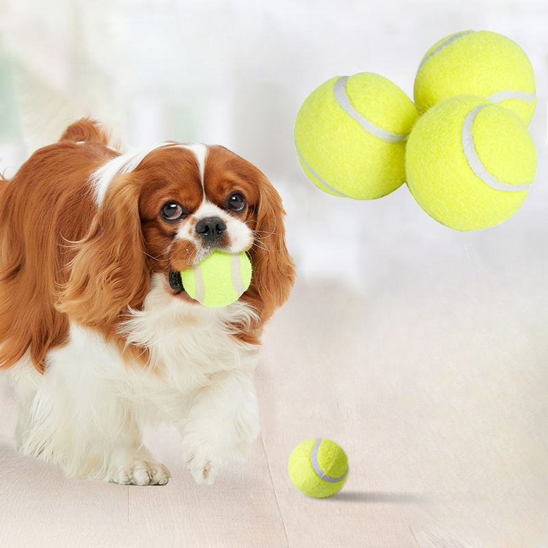 Giocattolo da masticare intera - Pet Dental Chew Toy recensione e prezzo