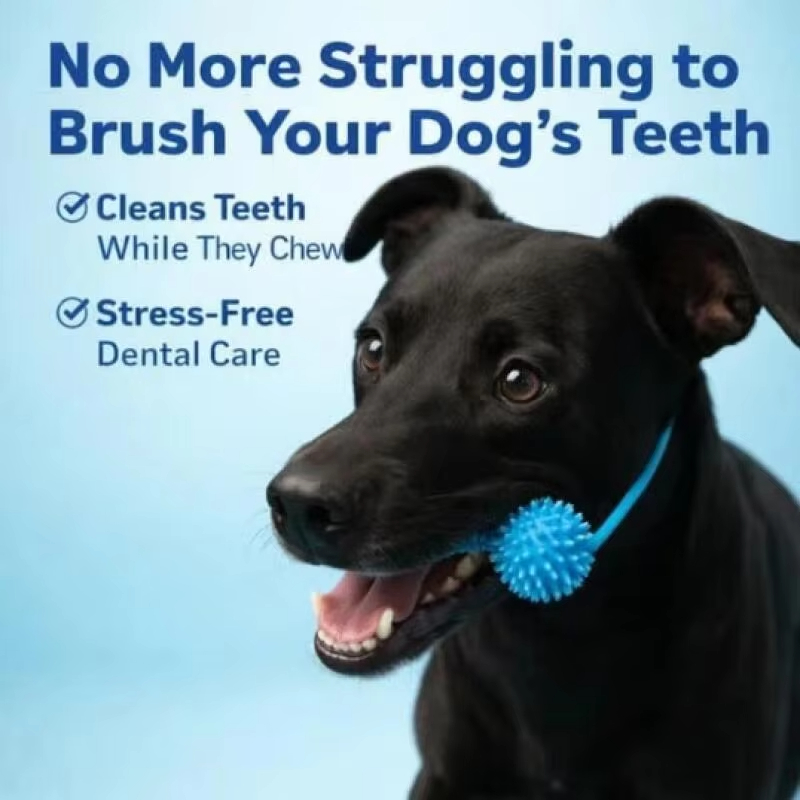 Giocattolo da Masticare per la - Pet Dental Chew Toy recensione e prezzo