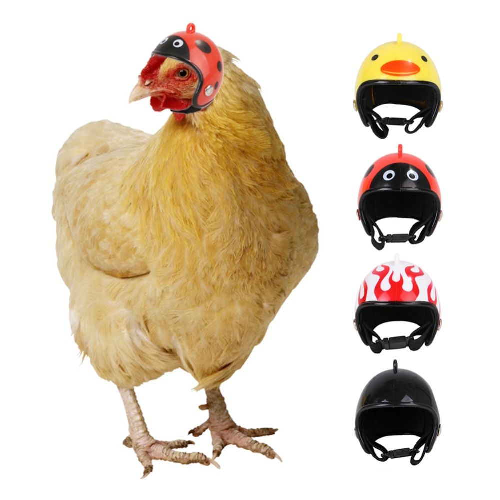 Accessori per Animali Domestic - Pet X Supplies & Tack recensione e prezzo