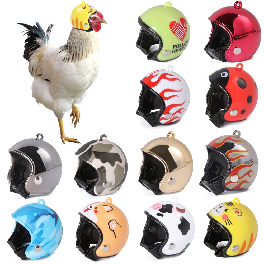 Accessori per Animali Domestic - Pet X Supplies & Tack recensione e prezzo