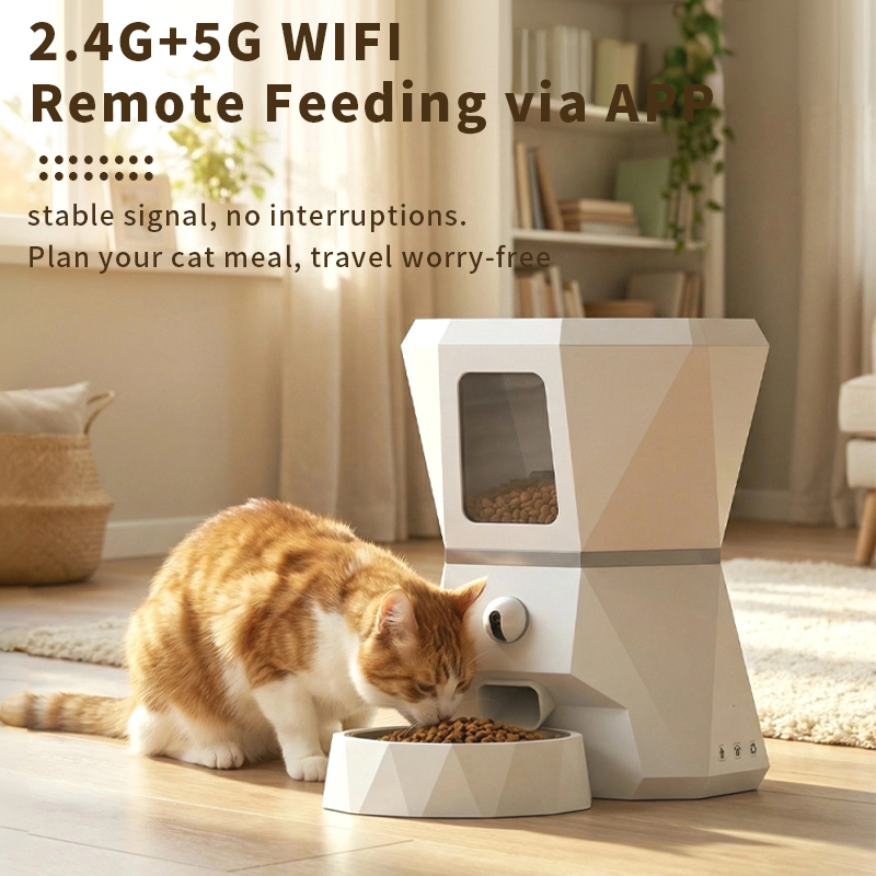 Dispenser Automatico di Cibo p - Automatic Pet Feeder recensione e prezzo