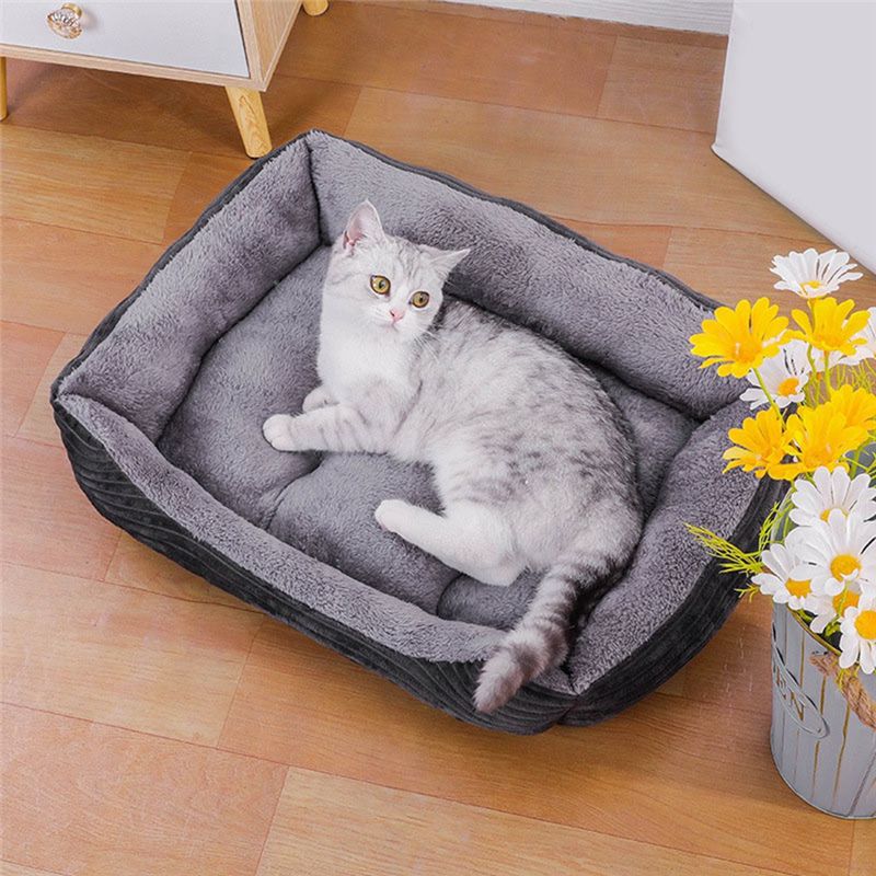 Cuccia per Cani AEA9-Grey, Tap - Pet X Supplies & Tack recensione e prezzo